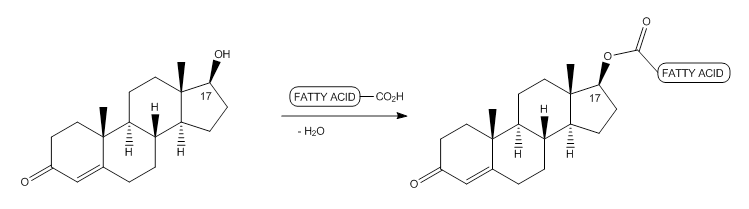 testosterone esterification